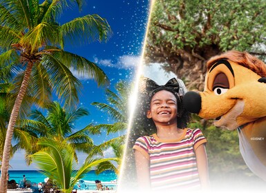 Viajes República Dominicana y EEUU 2024: Walt Disney World Orlando y Punta Cana